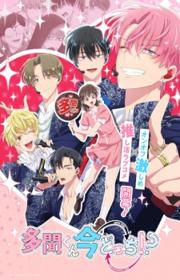 أنمي Tamon-kun Ima Docchi!? مترجم الموسم الأول